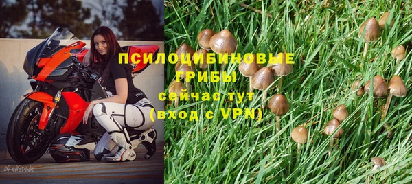 прущий лед Кулебаки