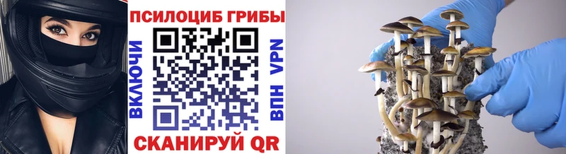 KRAKEN ссылка  Поворино  Галлюциногенные грибы ЛСД 